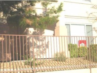 Main Photo
